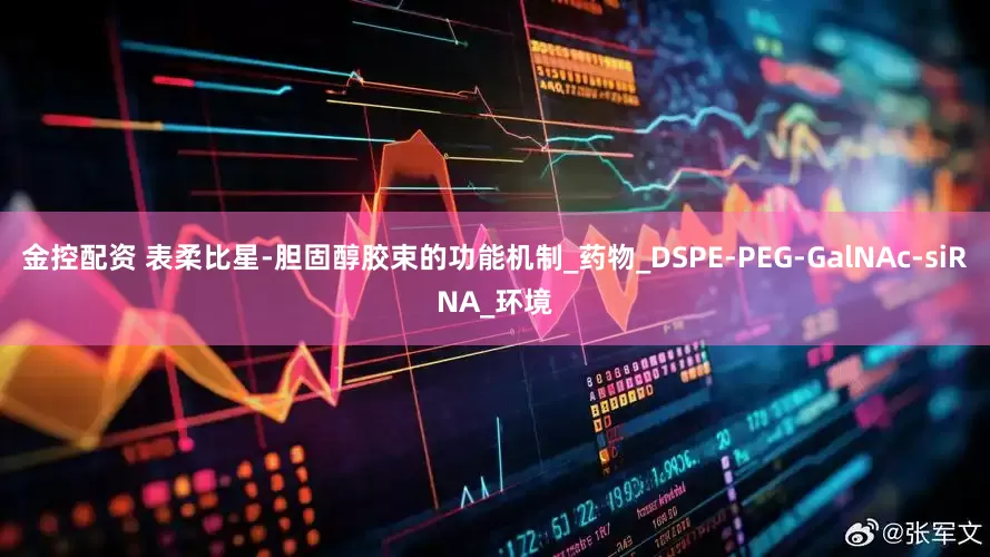 金控配资 表柔比星-胆固醇胶束的功能机制_药物_DSPE-PEG-GalNAc-siRNA_环境